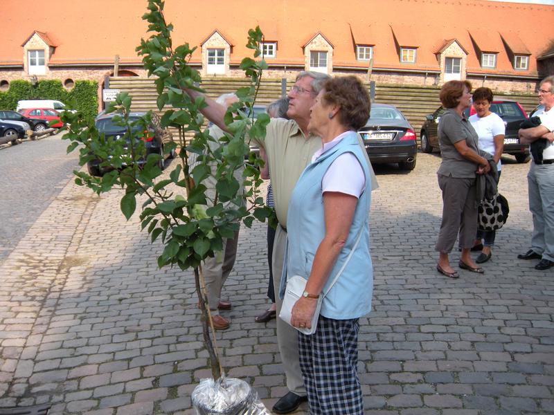 [ Bild dscn0782_800x600.jpg ]