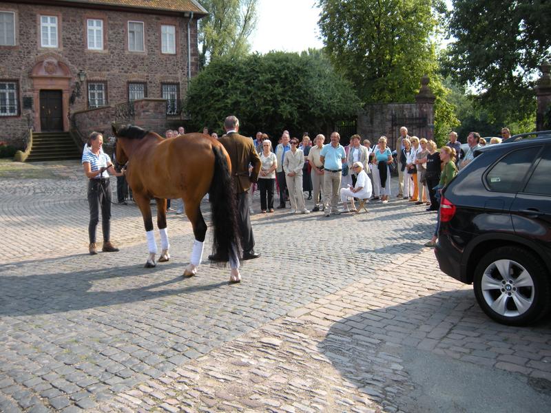 [ Bild dscn0807_800x600.jpg ]