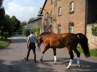 [ Bild dscn0809_200x150.jpg -  ]