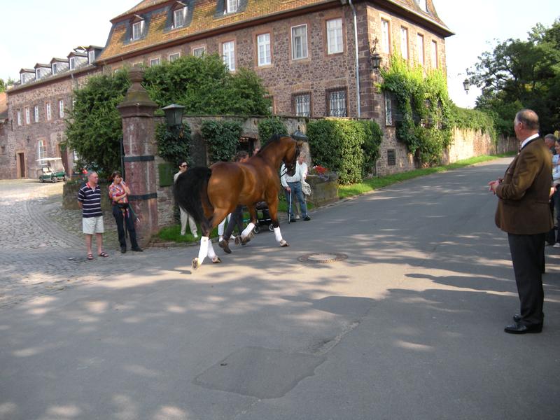 [ Bild dscn0812_800x600.jpg ]