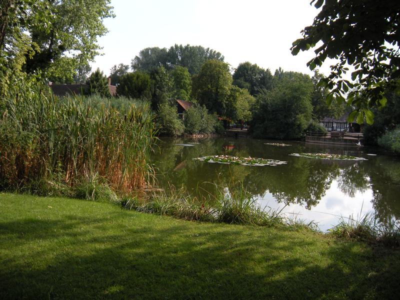 [ Bild dscn0813_800x600.jpg ]