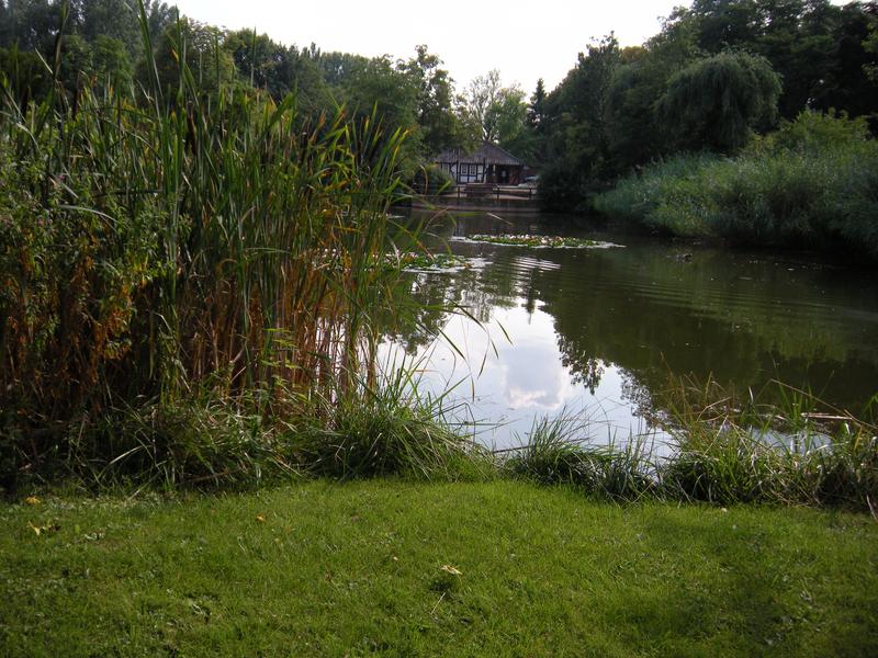 [ Bild dscn0815_800x600.jpg ]