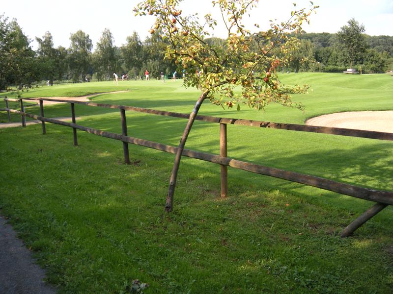 [ Bild dscn0819_800x600.jpg ]