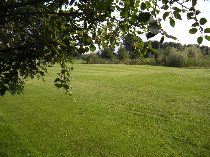 [ Bild dscn0832_800x600.jpg ]