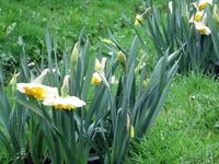 [ Bild img_0155_200x150.jpg -  ]