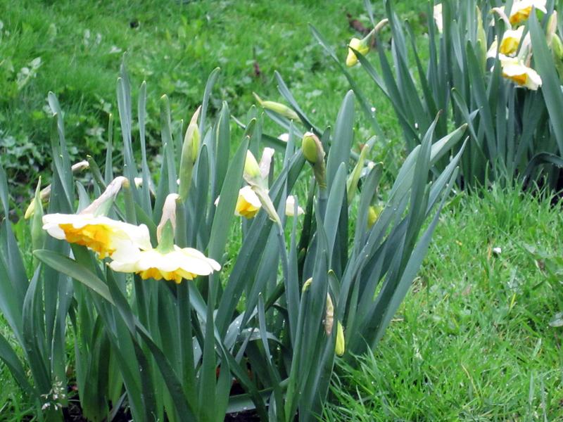 [ Bild img_0155_800x600.jpg ]