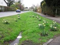 [ Bild img_0156_200x150.jpg -  ]