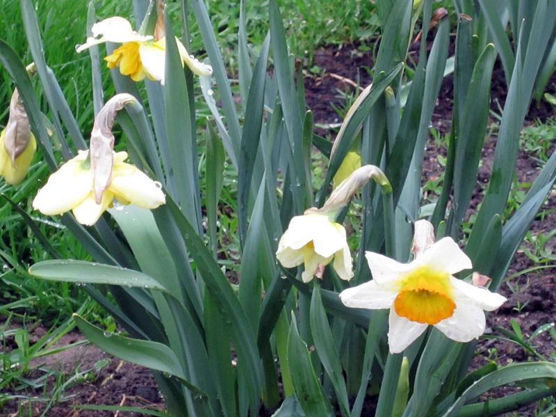 [ Bild img_0158_800x600.jpg ]