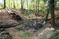 [ Bild img_8395_200x133.jpg -  ]