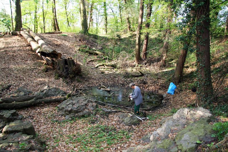 [ Bild img_8395_800x534.jpg ]