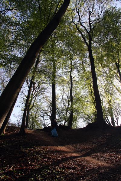 [ Bild img_8396_400x600.jpg ]