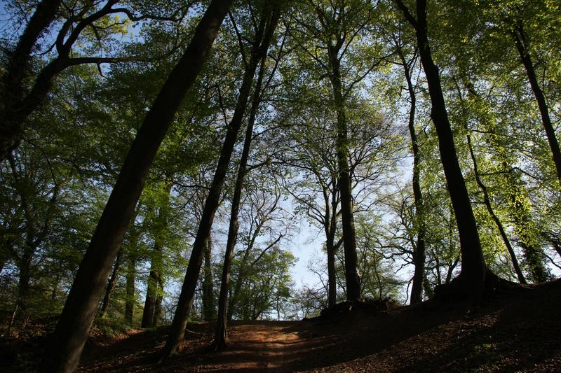 [ Bild img_8400_800x533.jpg ]