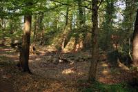 [ Bild img_8401_200x133.jpg -  ]