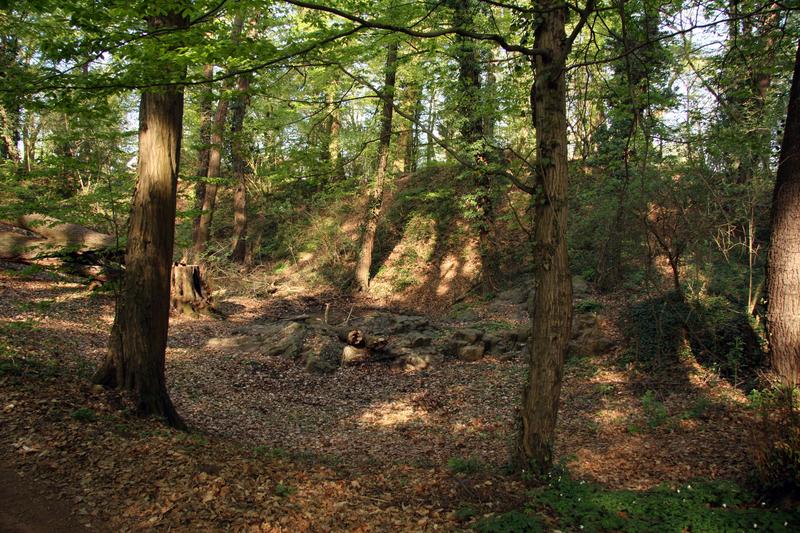 [ Bild img_8401_800x533.jpg ]