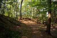 [ Bild img_8402_200x133.jpg -  ]