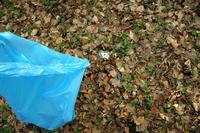 [ Bild img_8403_200x133.jpg -  ]