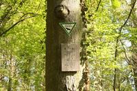 [ Bild img_8406_200x133.jpg -  ]