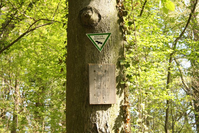 [ Bild img_8406_800x533.jpg ]