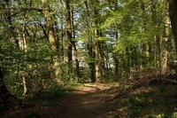 [ Bild img_8408_200x133.jpg -  ]