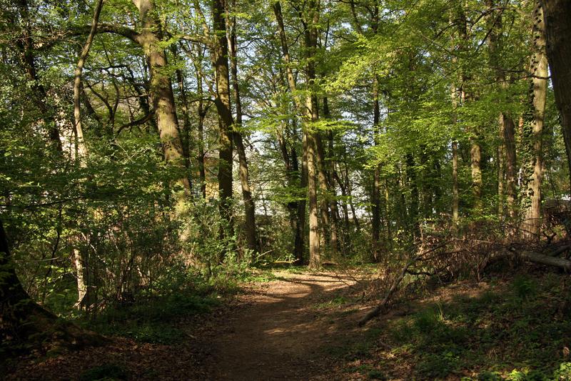 [ Bild img_8408_800x533.jpg ]