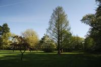 [ Bild img_8414_200x133.jpg -  ]