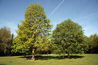 [ Bild img_8415_200x133.jpg -  ]