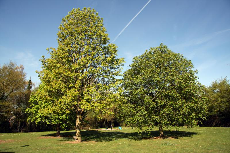 [ Bild img_8415_800x533.jpg ]