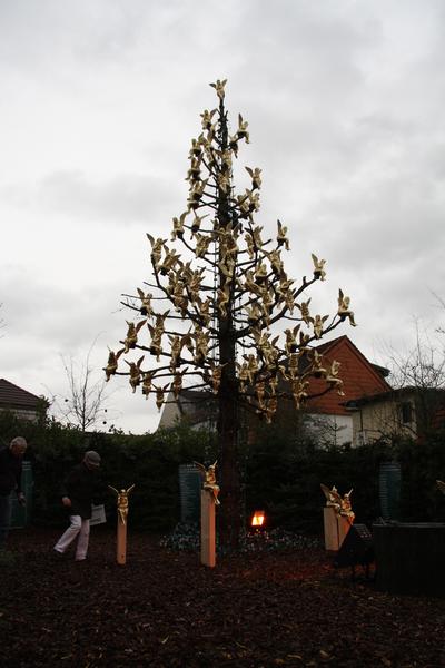 [ Bild img_0473_400x600.jpg ]