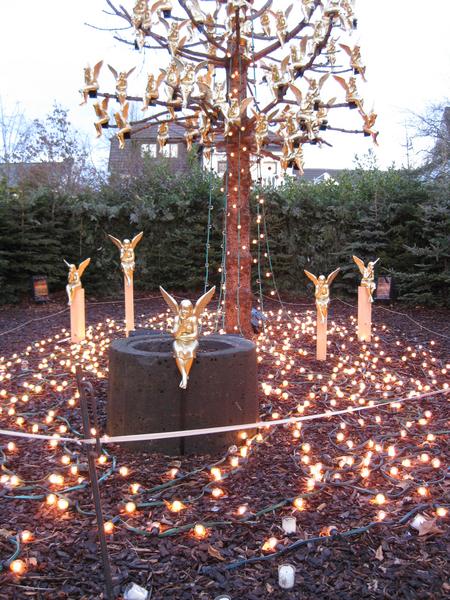 [ Bild img_0929_450x600.jpg ]