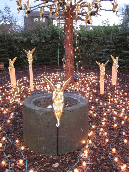 [ Bild img_0930_450x600.jpg ]