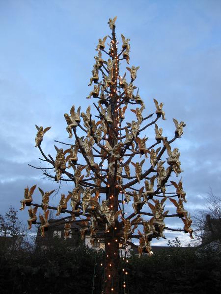 [ Bild img_0931_450x600.jpg ]