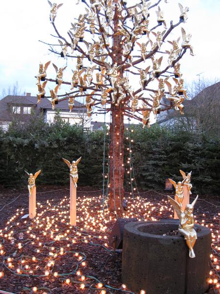 [ Bild img_0932_450x600.jpg ]