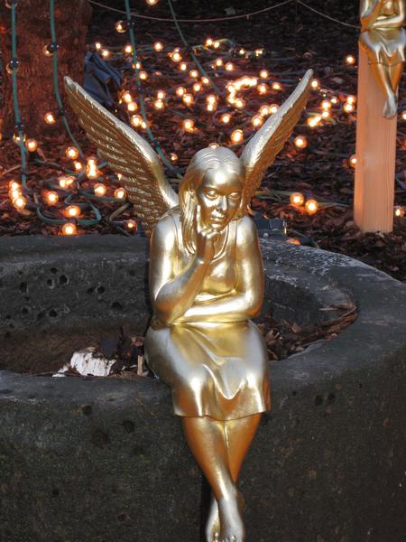 [ Bild img_0933_450x600.jpg ]