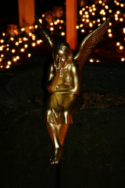 [ Bild img_5672_400x600.jpg ]