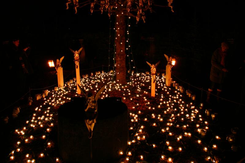 [ Bild img_5677_800x533.jpg ]