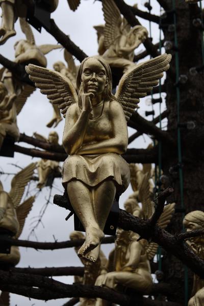 [ Bild img_9479_400x600.jpg ]