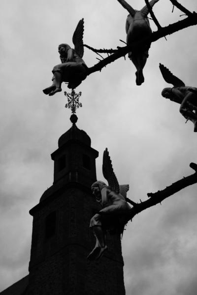 [ Bild img_9480_400x600.jpg ]