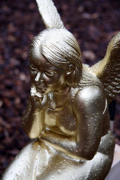 [ Bild img_9488_400x600.jpg ]