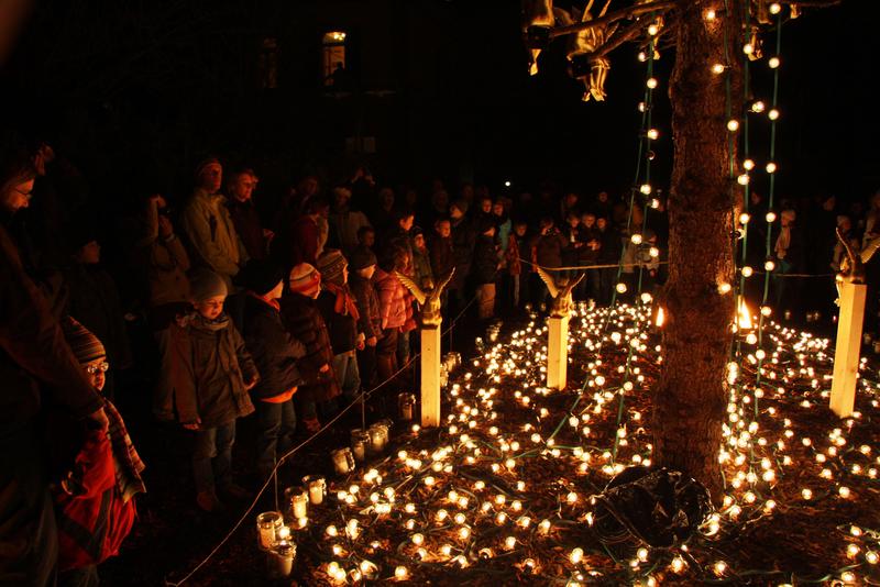 [ Bild img_9515_800x534.jpg ]