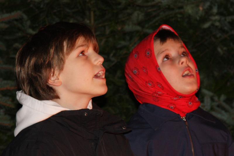 [ Bild img_9520_800x534.jpg ]