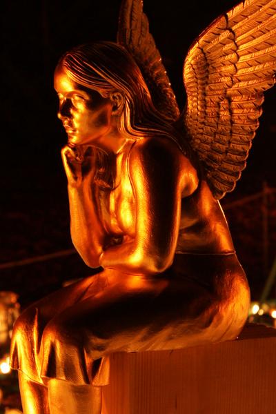 [ Bild img_9535_400x600.jpg ]