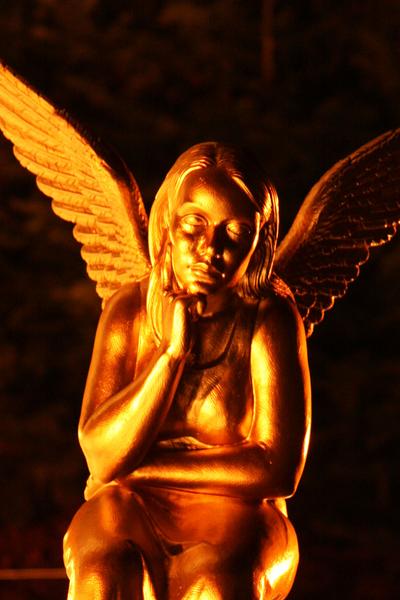 [ Bild img_9536_400x600.jpg ]