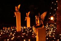 [ Bild img_9538_200x133.jpg ]