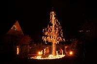 [ Bild img_9539_200x133.jpg ]