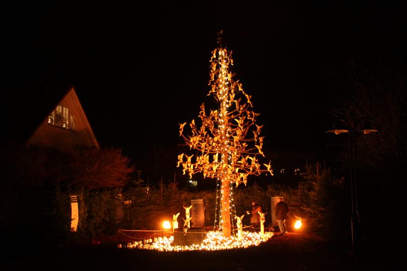 [ Bild img_9539_800x533.jpg ]