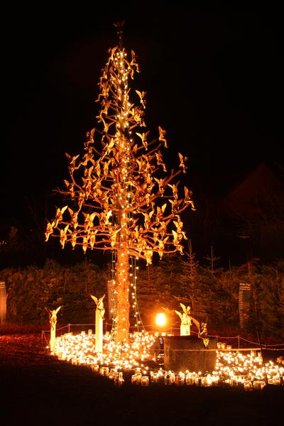 [ Bild img_9544_400x600.jpg ]