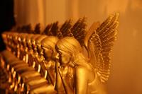 [ Bild img_9995_200x133.jpg ]