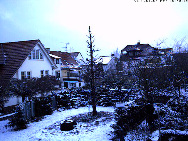 Bild der Webcam vom Kunstweihnachtsbaum 2009