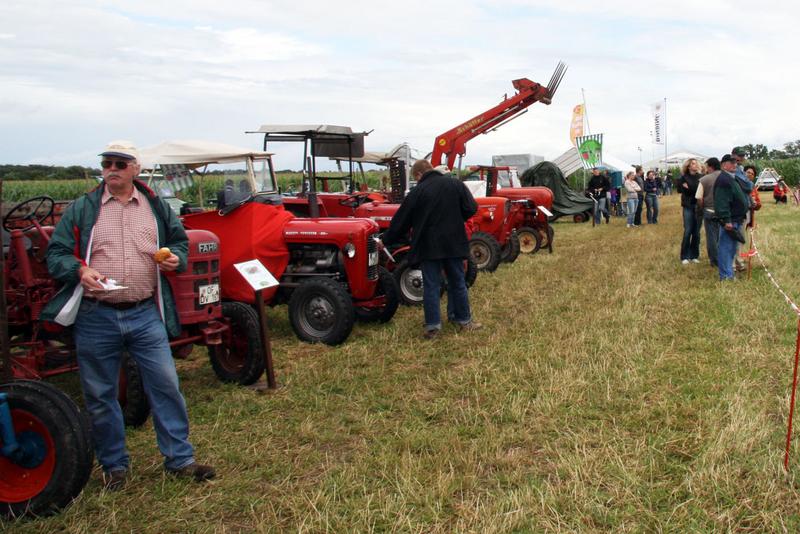 [ Bild img_6137_800x534.jpg /  ]