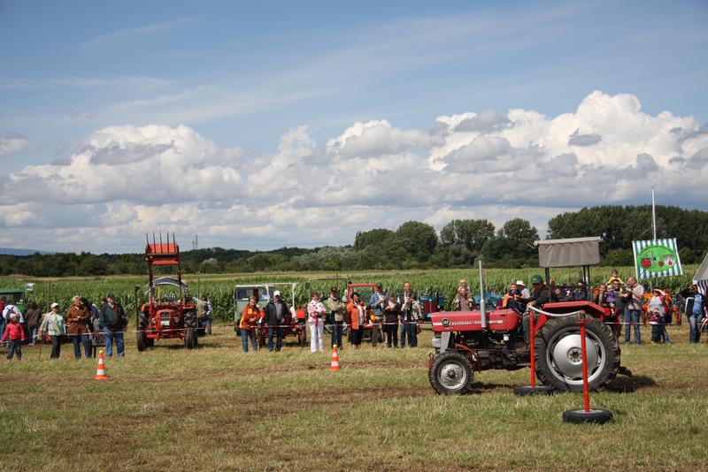 [ Bild img_6168_800x534.jpg /  ]